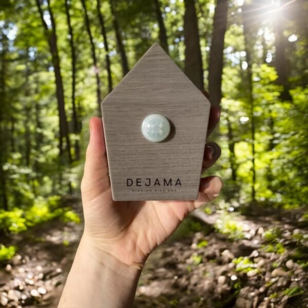 Singing Bird Box Dejama Ambient Noise Birds Chirping Songs Zwitscher Bathroom Sounds Relaxing