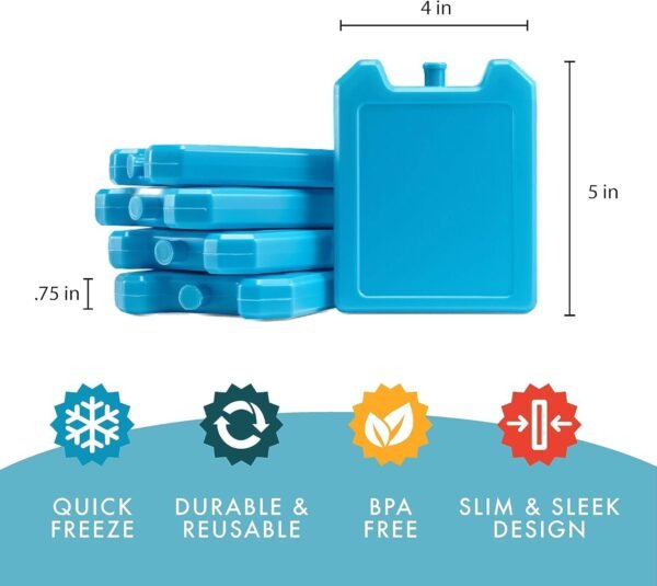 Cool Coolers by Fit + Fresh, 5 Pack Days of the Week Ice Blocks, Compact Reusable Ice Packs for Lunch Boxes & Coolers, Multi Colored
