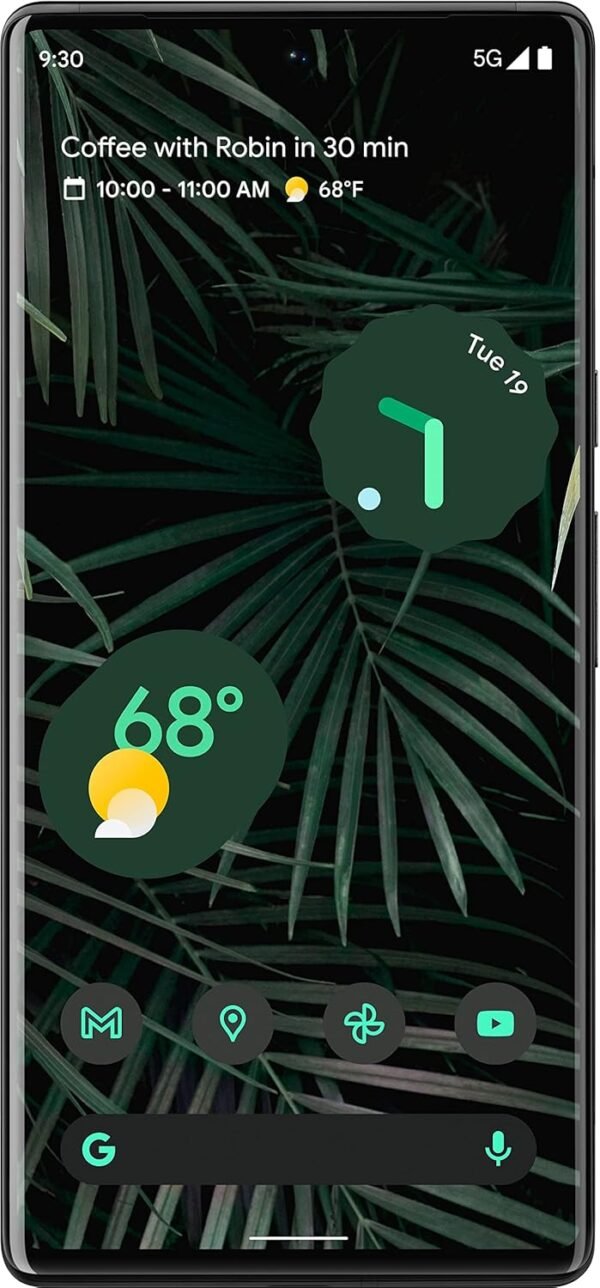 Google Pixel 6 Pro 5G UW 256GB Stormy Black Smartphone-Verizon
