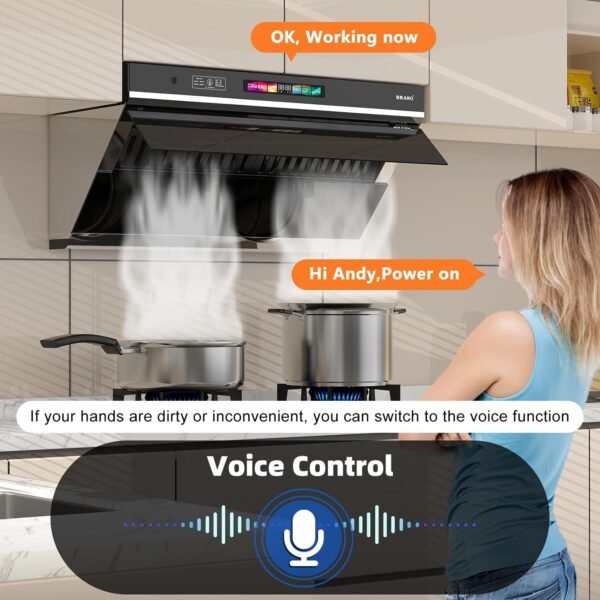 Under Cabinet Range Hood 30 inch, 900 CFM Kitchen Hood with Voice/Gesture/Touch Control,Ducted/Ductless Convertible Stainless Steel Range Hood, 4 Speed Exhaust Fan,Adjustable Lights