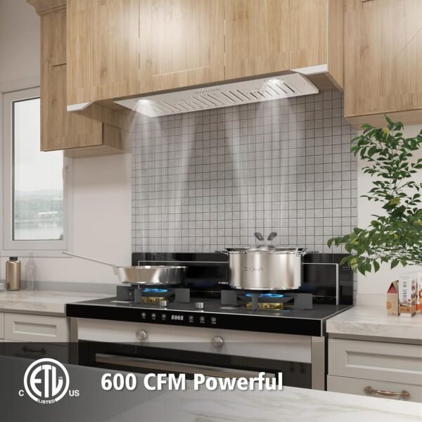 Vanity Art 600CFM Range Hood 28-inch, Ducted Range Hood Insert Stainless Steel, Kitchen Vent Hood, Kitchen Chimney Vent With 2 Blowers 3 Speed Button Control, LED Lights ETL Certified