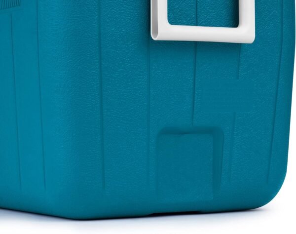Coleman Chiller Series 48qt Insulated Portable Cooler, Hard Cooler with Ice Retention & Heavy-Duty Handles, Great for Camping, Tailgating, Beach, Picnic, Groceries, Boating & More