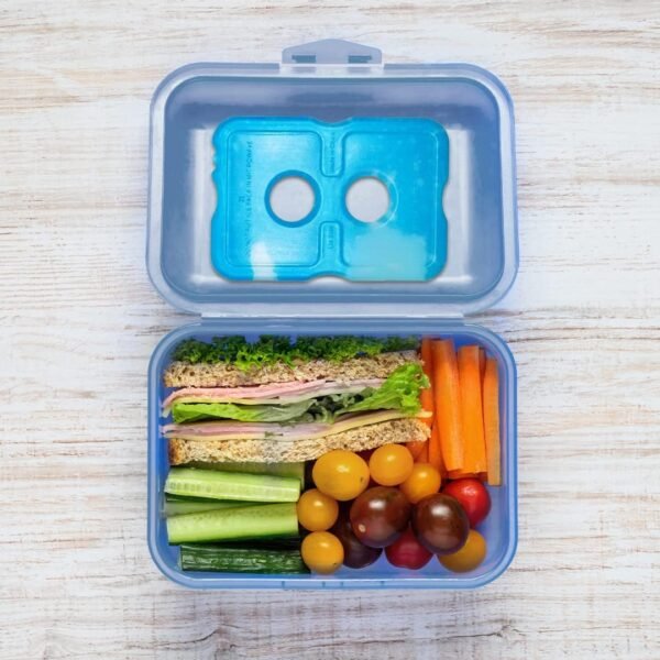 Healthy Packers Ice Packs for Lunch Boxes & Coolers - Freezer Packs - Original Cool Pack | Cooler Accessories for Beach, Camping & Fishing | Slim & Long-Lasting Reusable Ice Pack for Cooler