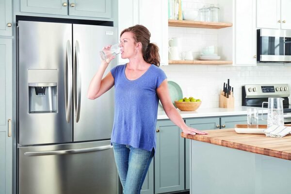Frigidaire WF3CB Puresource3 Refrigerator Water Filter, White, 1 Count (Pack of 1)