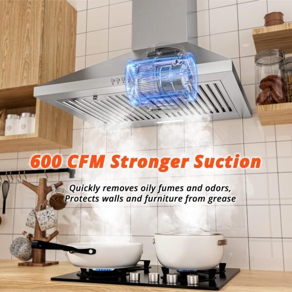 FIREGAS Range Hood 24 inch, 600 CFM Kitchen Hood with Ducted/Ductless Convertible Duct, Stainless Steel Chimney-Style Over Stove Vent Hood with LED Light, 3 Speed Exhaust Fan, 2 Charcoal Filters