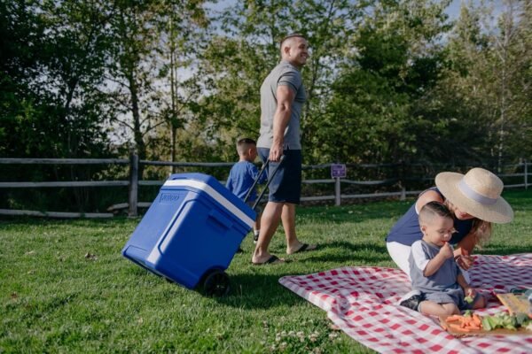 Igloo Cooler with Wheels, Profile II 28 Qt Hard Sided Ice Chest - Portable Insulated Container with Leak-Proof Design for Outdoor Use