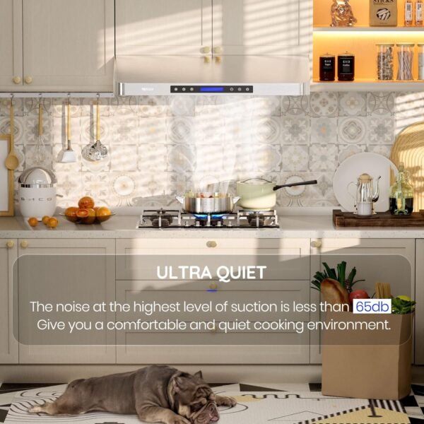 EKON 30 inches Under Cabinet Range Hood, 900 CFM Stainless Steel Kitchen Chimney Vent, 4 Speed Touch Screen Control With Remote 2Pcs 3W LED lights Dishwasher-safe Filters Fan Timer