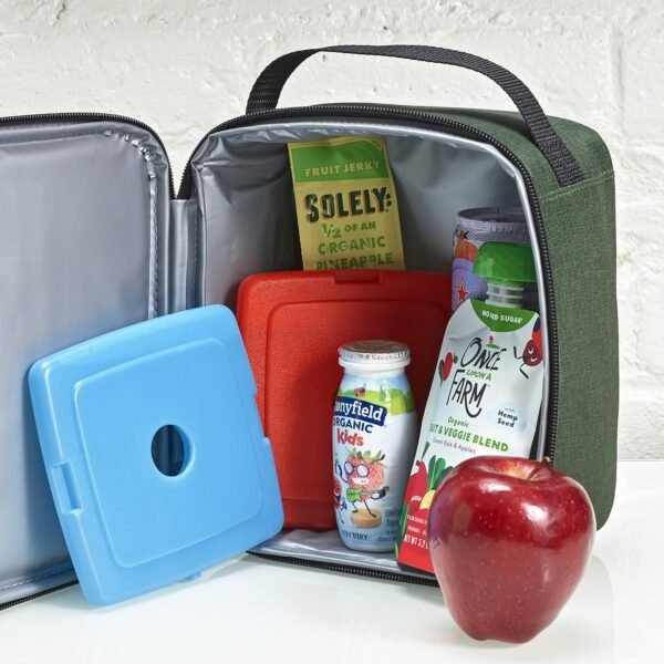 Cool Coolers by Fit & Fresh Slim Ice Packs, Quick Freeze, Space-Saving, Reusable Ice Packs for Lunch Boxes & Coolers