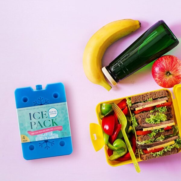 BLUE ELE Reusable Ice Packs for Lunch Boxes and Coolers, 4 Pack Slim & Lightweight Freezer Packs, Long Lasting Ice Blocks for Camping, Picnic, Work or School, MultiColored